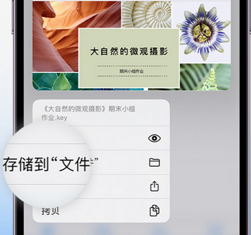 河间apple维修中心分享iPhone文件应用中存储和找到下载文件