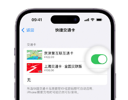 河间apple维修点分享iPhone上更换Apple Pay快捷交通卡手绘卡面 