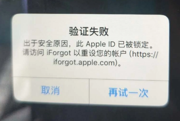 河间iPhone维修分享iPhone上正常登录或使用AppleID怎么办 