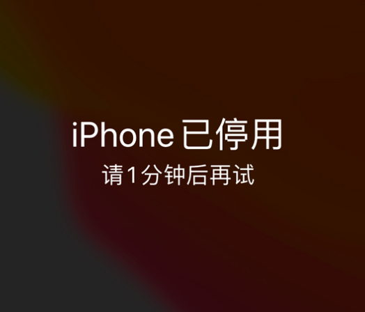 河间苹果手机维修分享:iPhone 显示“不可用”或“已停用”怎么办？还能保留数据吗？ 