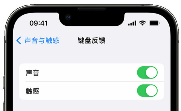 河间苹果手机维修分享iPhone 14触感键盘使用方法 