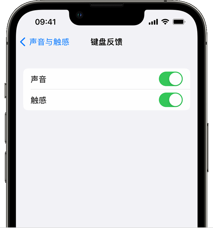 河间苹果14维修店分享如何在 iPhone 14 机型中使用触感键盘 