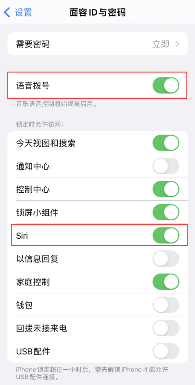 河间苹果维修网点分享不解锁 iPhone 的情况下通过 Siri 拨打电话的方法 