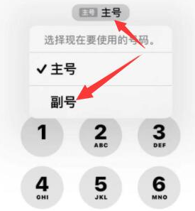 河间苹果14维修店分享iPhone 14 Pro Max使用副卡打电话的方法 