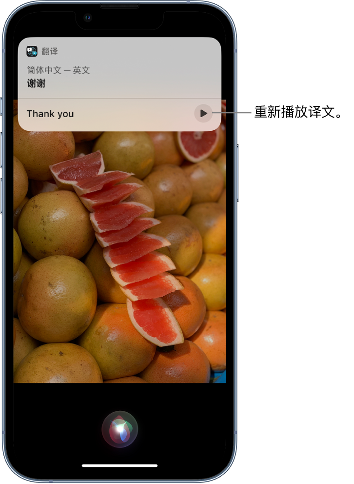 河间苹果14维修分享 iPhone 14 机型中使用 Siri：了解 Siri 能帮你做什么 