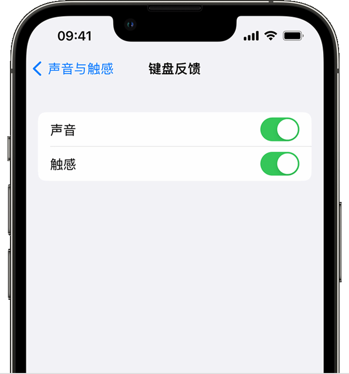 河间苹果14维修分享iPhone 14 系列机型如何开启键盘声音或触感反馈 