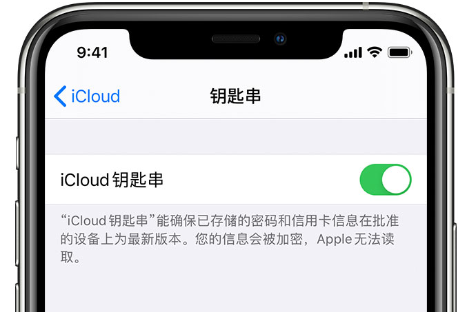 河间苹果手机维修分享在 iPhone 上开启 iCloud 钥匙串之后会储存哪些信息 