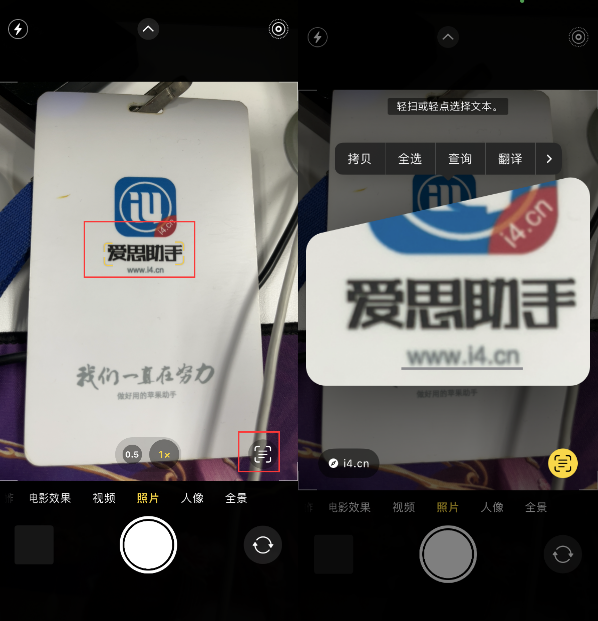 河间苹果手机维修分享升级iOS 16后如何通过相机翻译文本 
