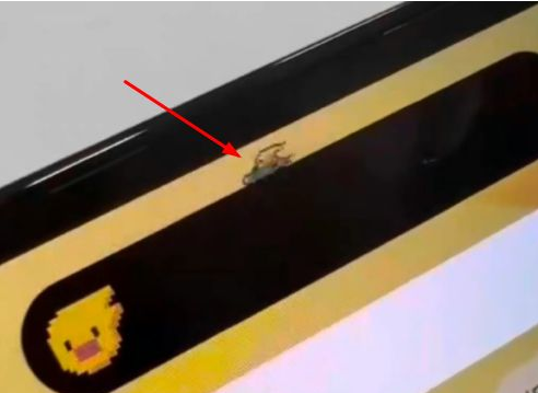 河间苹果14维修分享iPhone 14 Pro Max灵动岛怎么养宠物 