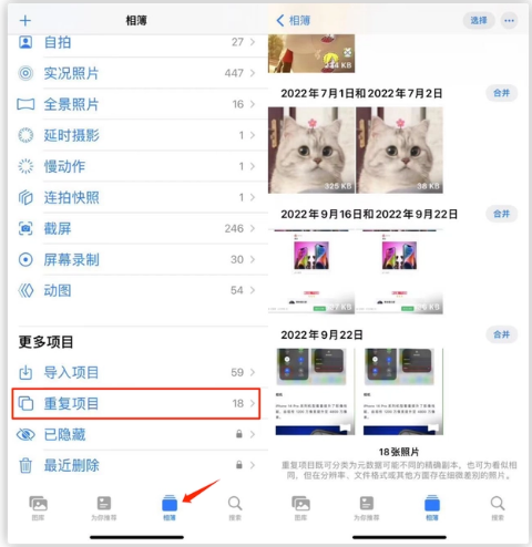 河间苹果手机维修分享iOS 16 中相册重复项目功能使用方法 