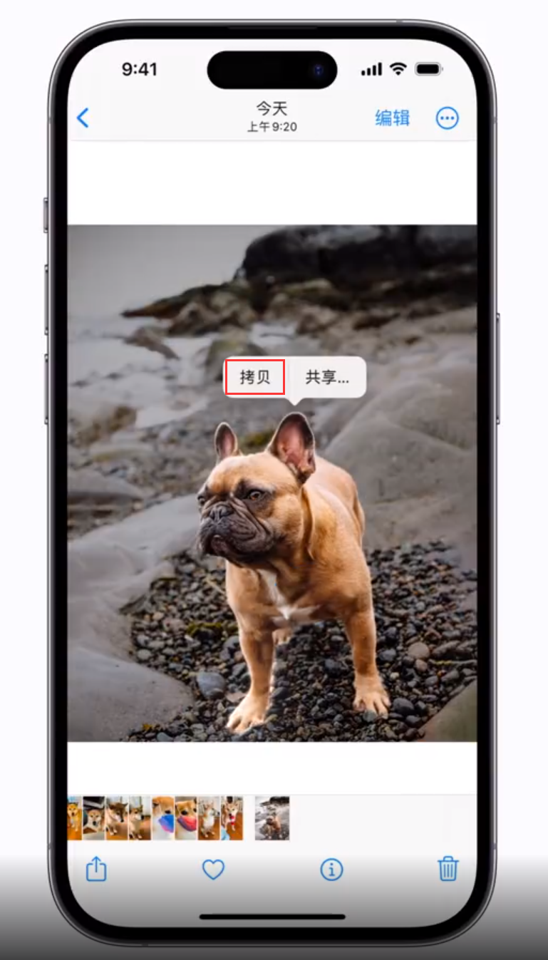 河间苹果手机维修分享 iOS 16 自带一键抠图功能 