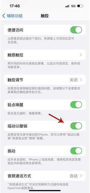 河间苹果手机维修分享iPhone手机如何设置摇一摇删除文字 