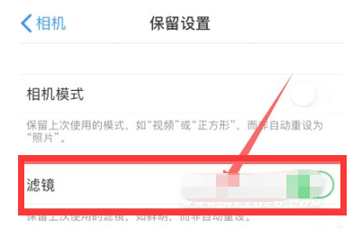 河间苹果13维修分享iPhone13拍照有绿点是怎么回事 