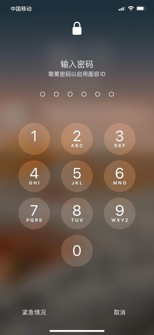 河间苹果13维修分享iPhone 13加强锁屏功能有什么用 