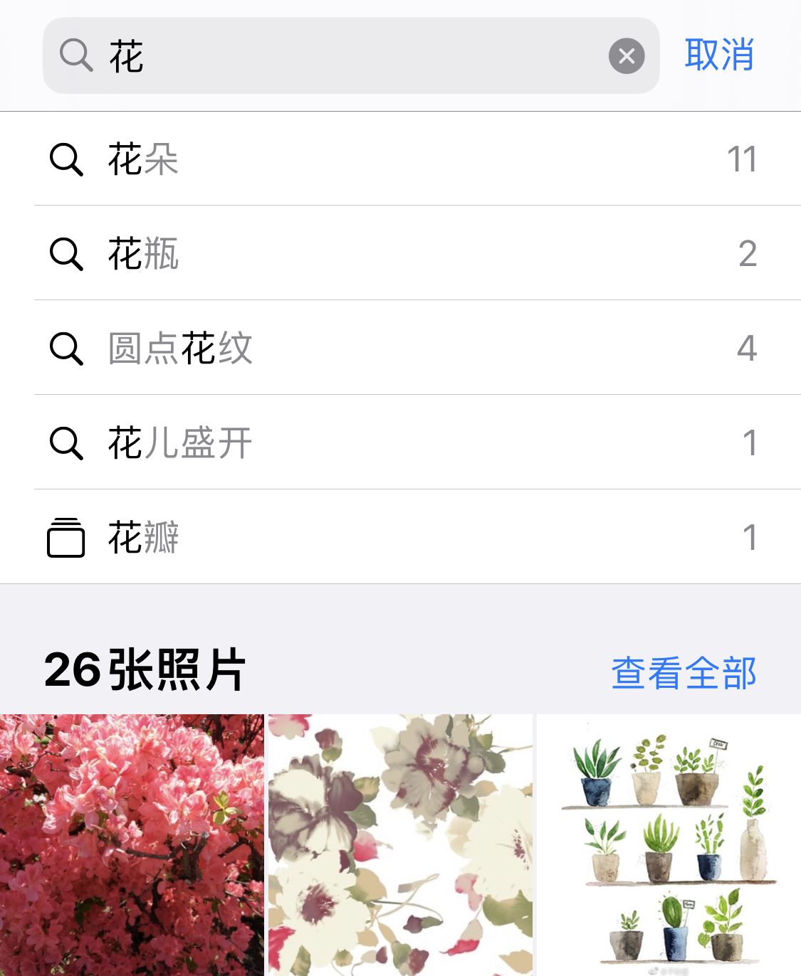 河间苹果手机维修分享iPhone 小技巧 