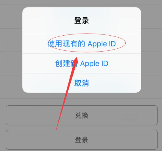 河间苹果手机维修分享两台iPhone设备可以同时登录一个Apple ID吗 