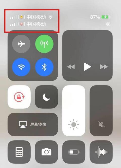 河间苹果手机维修分享为 iPhone 12 双卡设置标签 