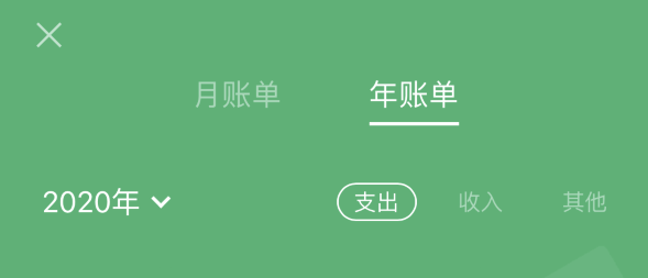 河间苹果手机维修分享如何在 iPhone 上查看支付宝和微信年支出账单 