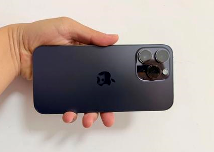 河间苹果维修点分享iPhone 14 Pro Max黑屏少见故障盘点 